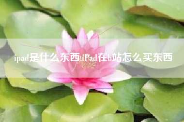 ipad是什么东西,iPad在b站怎么买东西