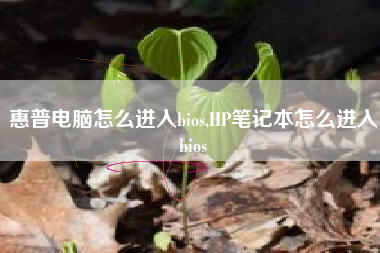 惠普电脑怎么进入bios,HP笔记本怎么进入bios