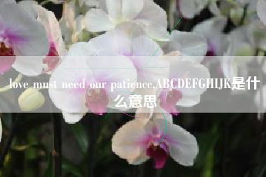 love must need our patience,ABCDEFGHIJK是什么意思