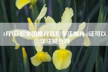 4月1日起全国推行驾照学法减分,d证可以学法减分吗