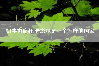 奶牛也疯狂,卡塔尔是一个怎样的国家