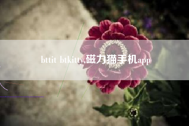 bttit btkitty,磁力猫手机app