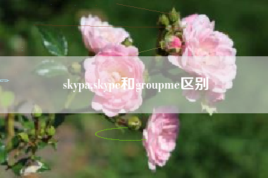 skypa,skype和groupme区别