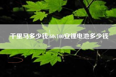 千里马多少钱,60v100安锂电池多少钱