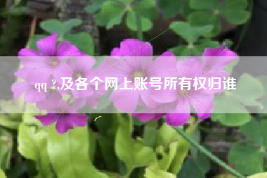 qq ?,及各个网上账号所有权归谁