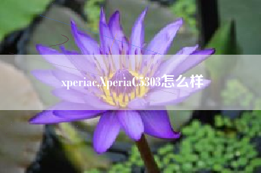 xperiac,XperiaC5303怎么样