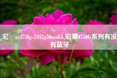 宏碁as4750g-2452g50mnkk,宏基4750G系列有没有蓝牙