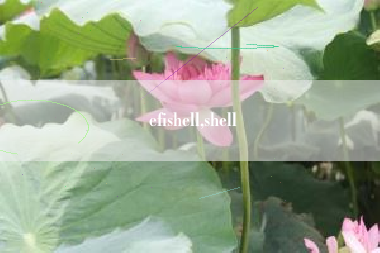 efishell,shell