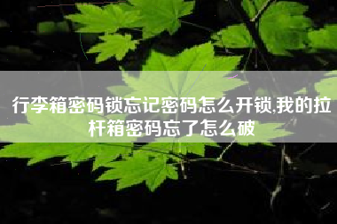 行李箱密码锁忘记密码怎么开锁,我的拉杆箱密码忘了怎么破