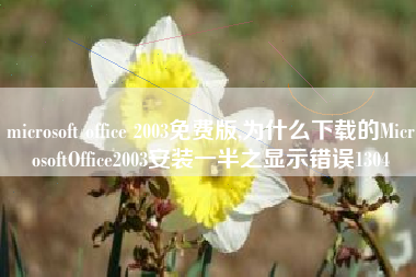 microsoft office 2003免费版,为什么下载的MicrosoftOffice2003安装一半之显示错误1304