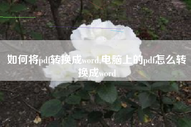 如何将pdf转换成word,电脑上的pdf怎么转换成word