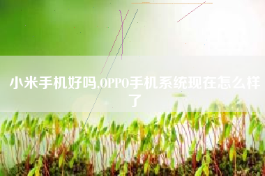 小米手机好吗,OPPO手机系统现在怎么样了