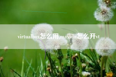 virtualbox怎么用,maxsun怎么开vt