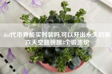 dnf代币券能买时装吗,可以开出永久的第六天空翅膀跟3个锻造炉