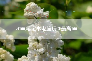 cf100,笔记本电脑玩CF最高100