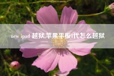 new ipad 越狱,苹果平板1代怎么越狱