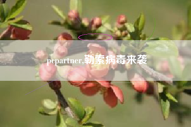 pcpartner,勒索病毒来袭