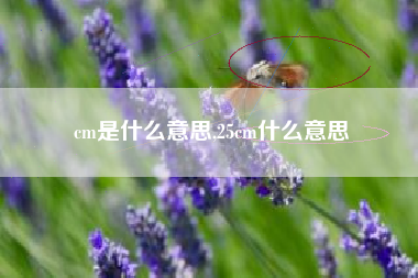 cm是什么意思,25cm什么意思