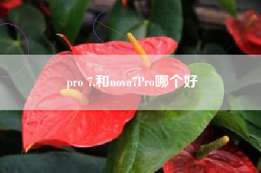 pro 7,和nova7Pro哪个好