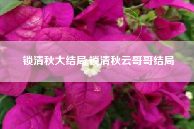 锁清秋大结局,锁清秋云哥哥结局