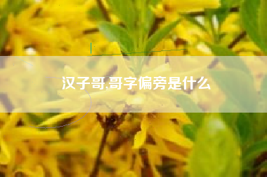 汉子哥,哥字偏旁是什么