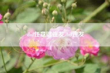 dnf任意键连发,dnf连发