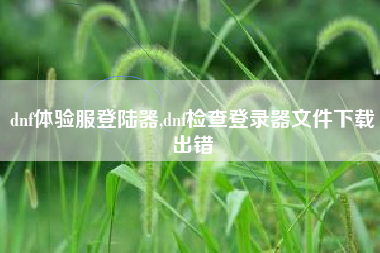 dnf体验服登陆器,dnf检查登录器文件下载出错