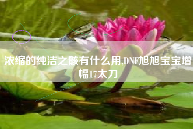 浓缩的纯洁之骸有什么用,DNF旭旭宝宝增幅17太刀