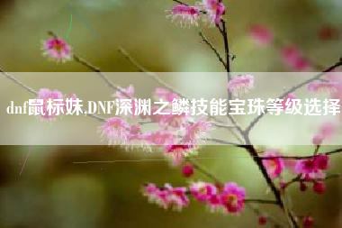 dnf鼠标妹,DNF深渊之鳞技能宝珠等级选择