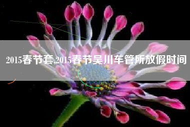 2015春节套,2015春节吴川车管所放假时间