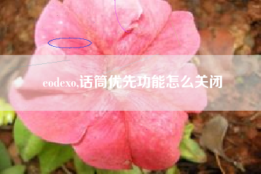 eodexo,话筒优先功能怎么关闭