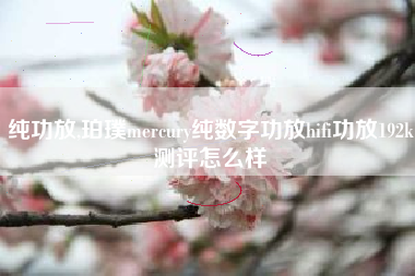 纯功放,珀璞mercury纯数字功放hifi功放192k测评怎么样