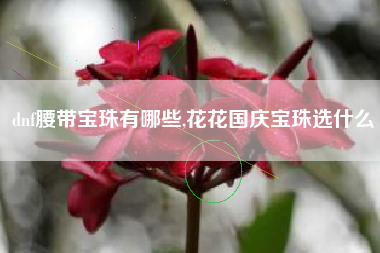 dnf腰带宝珠有哪些,花花国庆宝珠选什么