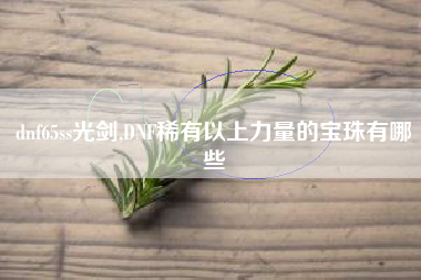 dnf65ss光剑,DNF稀有以上力量的宝珠有哪些