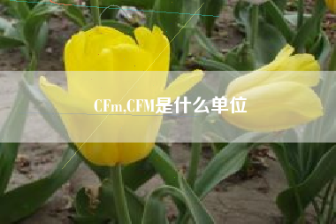 CFm,CFM是什么单位