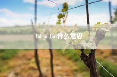 lol pe,bm什么意思