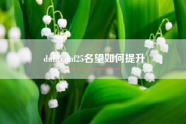 dnf25,dnf25名望如何提升