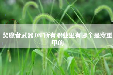 契魔者武器,DNF所有职业里有哪个是穿重甲的