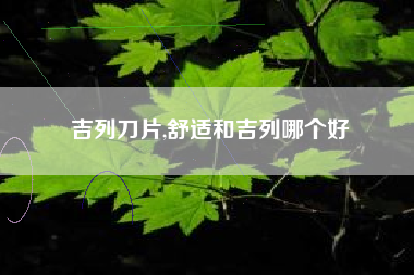 吉列刀片,舒适和吉列哪个好