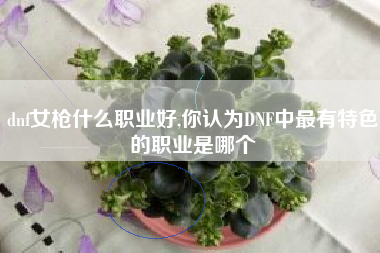 dnf女枪什么职业好,你认为DNF中最有特色的职业是哪个