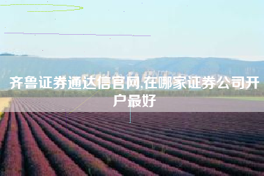 齐鲁证券通达信官网,在哪家证券公司开户最好