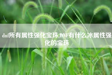 dnf所有属性强化宝珠,DNF有什么冰属性强化的宝珠