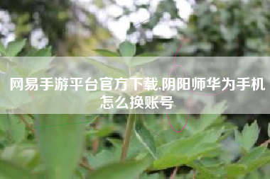 网易手游平台官方下载,阴阳师华为手机怎么换账号