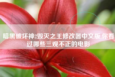 暗黑破坏神2毁灭之王修改器中文版,你看过哪些三观不正的电影