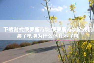 下载游戏俄罗斯方块,俄罗斯方块游戏机装了电池为什么还开不了机