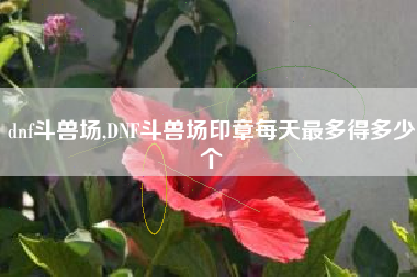 dnf斗兽场,DNF斗兽场印章每天最多得多少个