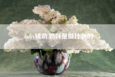 dnfyy辅助,奶咪是做什么的