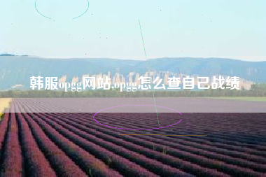 韩服opgg网站,opgg怎么查自己战绩