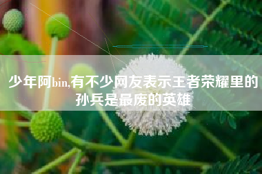 少年阿bin,有不少网友表示王者荣耀里的孙兵是最废的英雄