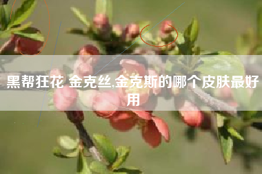 黑帮狂花 金克丝,金克斯的哪个皮肤最好用